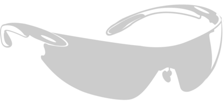 Sunglasses  vector