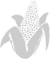 Corn farm vector