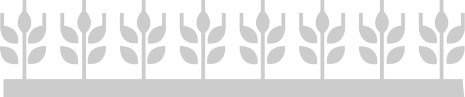 Farm wheat vector