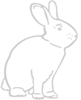 Farm animal rabbit vector