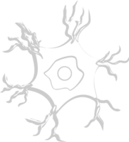 Neuron biology vector