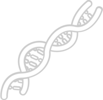 Biology DNA vector