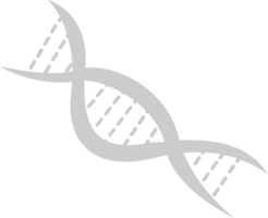 Biology DNA vector