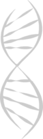 Biology DNA vector