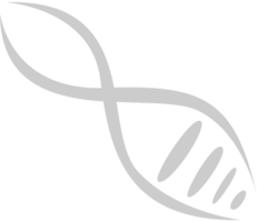 Biology DNA vector