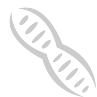 Biology DNA vector