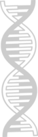 Biology DNA vector