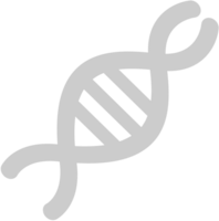 Biology DNA vector