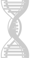 Biology DNA vector