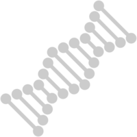 Biology DNA vector