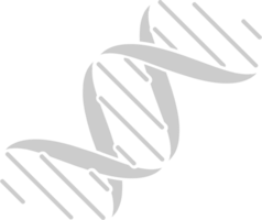 Biology DNA vector