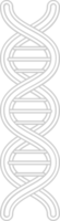 Biology DNA vector