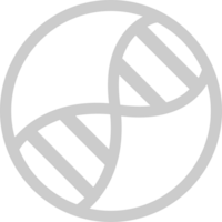 Biology DNA vector