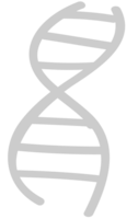 Biology DNA vector