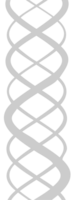 Biology DNA vector