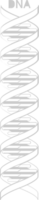 Biology DNA vector