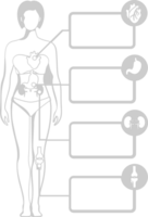 Biology human body vector