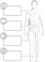 Biology human body vector
