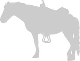 Equestrian vector