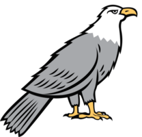 águila vector