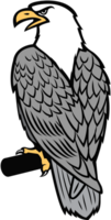 Eagle vector