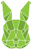 Rabbit vector