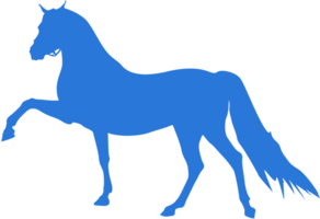 caballo vector