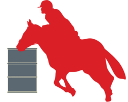 Horse Riding vector