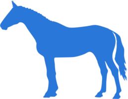 Horse vector