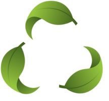 Recycle vector