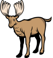 Deer vector