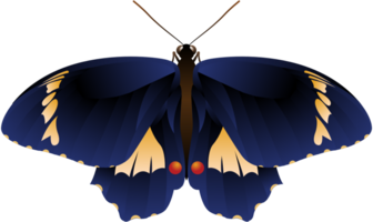 Butterfly vector