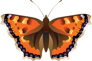 Butterfly vector