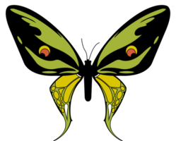 Butterfly vector