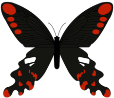 mariposa vector