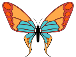 Butterfly vector