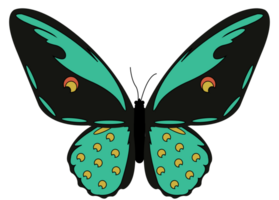 Butterfly vector