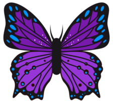 Butterfly vector