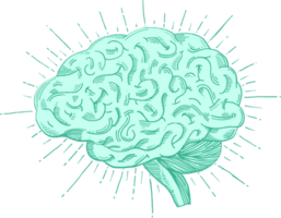 Brain vector