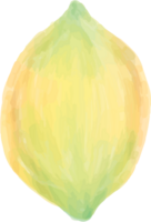 Lemon vector