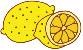 Lemon vector