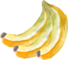 Banana vector