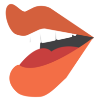 boca vector