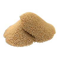 AI generated Soybean or Husk on Transparent background - Ai Generated png