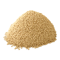 AI generated Soybean or Husk on Transparent background - Ai Generated png