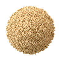 AI generated Soybean or Husk on Transparent background - Ai Generated png