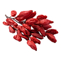 AI generated Dry red pepper on Transparent background - Ai Generated png