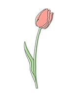 Outline tulip flower with pastel color spots added, line art. Floral poster, postcard, vector