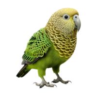 AI generated Green Parrot on Transparent background - Ai Generated png