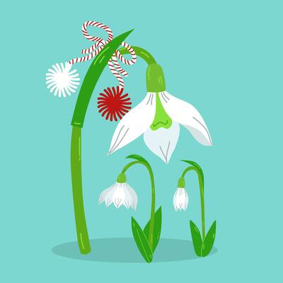 Martisor, Moldovan and Romanian traditional spring festival. Bouquet of white and red snowdrops.